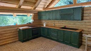 a kitchen with green cabinets in a wooden cabin at Maringotka Lesní Mlýn in Nový Rychnov