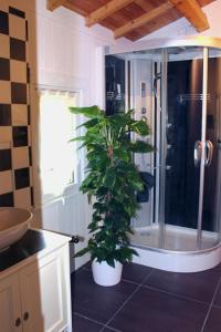 bagno con doccia e pianta di Les Rocailles a Lamonzie-Montastruc