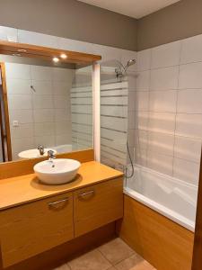 a bathroom with a sink and a shower and a tub at Appartement station Sainte Foy Tarentaise in Sainte-Foy-Tarentaise