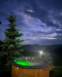 a jacuzzi tub with a christmas tree on a mountain at Pensiunea Casa Ancutei in Ranca