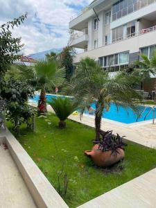 a resort yard with palm trees and a building at Апартаменты 1+1 с выходом на бассейн in Kemer