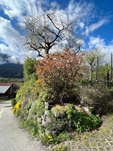 un jardín con una valla, flores y un árbol en Landhaus Appartment en Pettnau