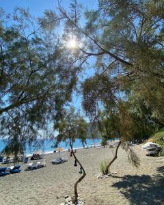 a beach with some trees and chairs and the sun at Yildiz Ahşap Evleri in Datca