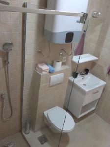 een kleine badkamer met toilet en douche bij MIA CASA Apartmens in Budva +15 foto's