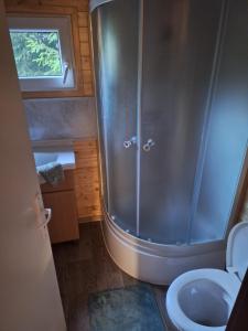a bathroom with a shower and a toilet at Maringotka Lesní Mlýn in Nový Rychnov