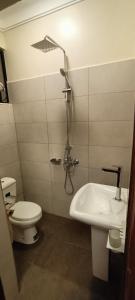 ein Bad mit einer Dusche, einem WC und einem Waschbecken in der Unterkunft Cosy Living in Gulu