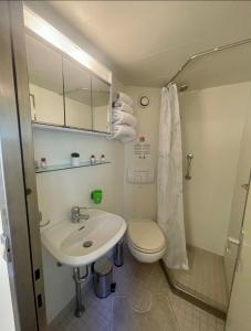 a bathroom with a sink and a toilet at Hotel Plutitor Egreta1 in Sfântu Gheorghe