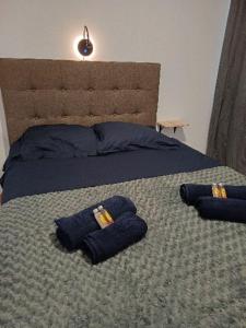 a bed with two blue pillows on top of it at "Hibiscus" city center room in Papeete