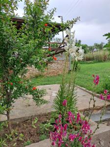 A garden outside Casa Lambuh