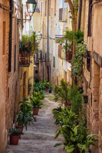 an alley with plants and potted plants at Alojamientos Apolonia, La Fresneda in La Fresneda