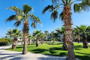 a row of palm trees in a park at 2 bedroom ground floor apartment in Kalogrea