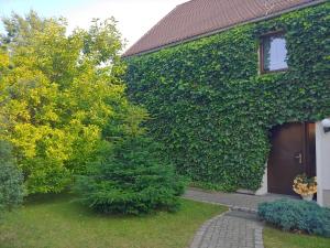 een met klimop overdekt huis met een boom ervoor bij Ferienwohnung am Garten in Weißenberg