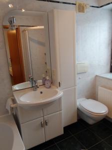 een witte badkamer met een wastafel en een toilet bij Ferienwohnung am Garten in Weißenberg