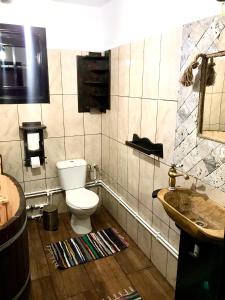 a bathroom with a toilet and a sink at Casa Gabriel in Frumosu