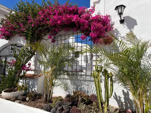 a garden with pink flowers on a white wall at Coral Bay Port Royale in El Guincho