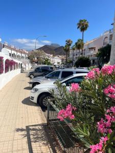 a row of parked cars in a parking lot with pink flowers at Coral Bay Port Royale in El Guincho