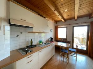 A kitchen or kitchenette at Feldererhof