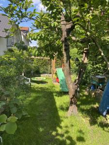 a yard with a tree and a green tent at Frankfurt Close Apartment in Hainburg