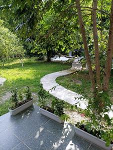 un jardín con árboles y una pasarela con plantas en Forest house, en Gabala