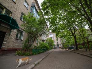 a cat walking down a street next to a building at PaulMarie Apartments on Oktyabrskaya in Bobruisk