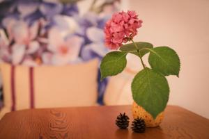 インスブルックにあるVilla Marwa - eine Ruheoase im Grünenのテーブルの花瓶のピンクの花