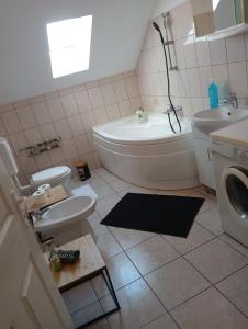 een badkamer met een toilet, een wastafel en een wasmachine bij Stella s Monteurswohnungen in Werdau