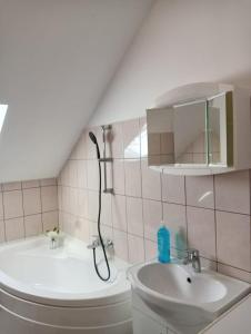 een badkamer met een douche, een wastafel en een toilet bij Stella s Monteurswohnungen in Werdau