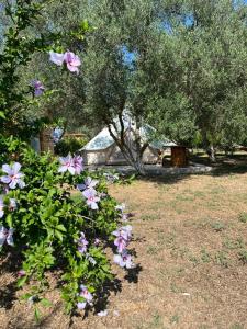 a bunch of flowers in a field with trees at Eco Glamping with Pool between Nafplio and Argos in Argos