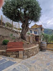 um banco de madeira sentado em frente a uma árvore em maison du olival 