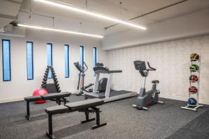 Fitness centrum a/nebo fitness zařízení v ubytování Holiday Inn Dandenong by IHG