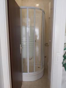 een douche met een glazen deur in de badkamer bij Makjanic Apartment in Jelsa