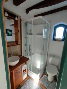a bathroom with a shower and a toilet and a sink at Chambre d'hôtes des Gâtines in Berthegon