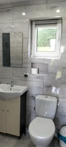 a bathroom with a toilet and a sink and a window at Bieszczadzki Orzeł in Berezka