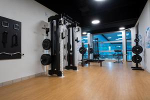 a gym with dumbbells hanging on the wall at Hotel Sommerhaus Linz in Linz