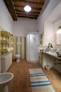 uma casa de banho com um chuveiro, um lavatório e um WC. em allegretti agriturismo em Castelnuovo Berardenga