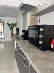 a kitchen with a counter top with a microwave at Le Pavillon de Nina in Puget