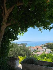 a view of the ocean from under a tree at D&M APARTMENTS in Rab