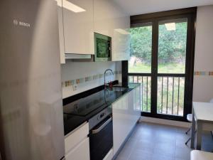 uma cozinha com um lavatório e uma bancada em Acogedor apartamento en Anguiano em Anguiano