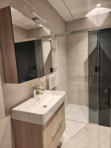 uma casa de banho com um lavatório e um chuveiro em Prie Vilneles Apartment em Vilnius