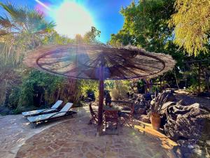 a patio with a table and chairs and an umbrella at Tropical Garden Finca in Guía de Isora +50 photos