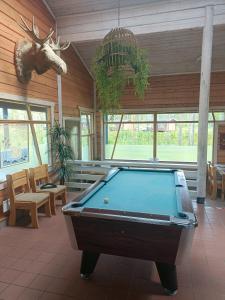 a pool table in a room with a deer head hanging from the ceiling at Ahvenlampi Camping in Saarijärvi