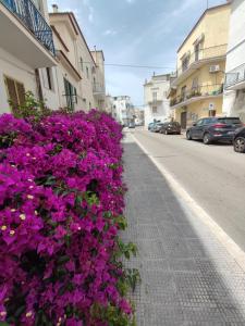 a bunch of purple flowers on the side of a street at Apulian Dream in Peschici