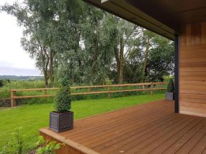 eine Holzterrasse mit einer Topfpflanze darauf in der Unterkunft Landscape, New Eco Lodge Flatford Mill in East Bergholt