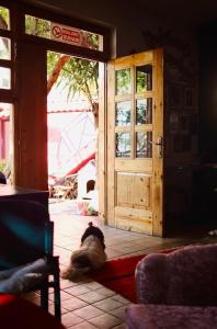 a dog laying on a rug in front of a door at Red Goat Hostel in Tirana