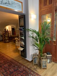 a living room with a potted plant next to a wall at Hotel Coeur Du Village in La Thuile