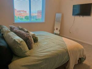 een slaapkamer met een bed met kussens en een flatscreen-tv bij Contemporary Cozy Apartment in Baltimore