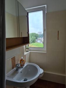 bagno con lavandino, finestra e servizi igienici di Gästewohnung KL. WZL 29_5 