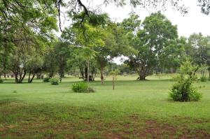 un parque con árboles, césped verde y arbustos en Matalatala Wildlife Lodge, en Roodeplaat