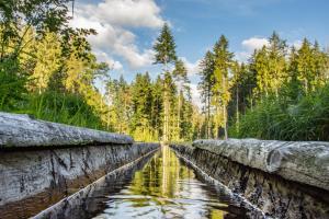 un canal en un bosque con árboles en el fondo en Maringotka Lesní Mlýn, en Nový Rychnov