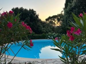 einen Pool in einem Garten mit rosa Blumen in der Unterkunft Le Pavillon de Nina in Puget